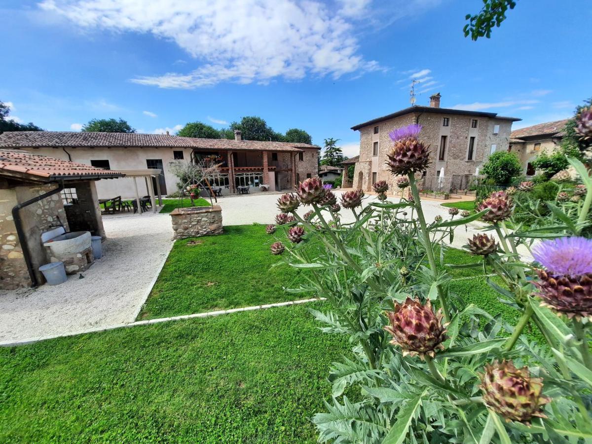 Corte Davini Agriturismo Monzambano Εξωτερικό φωτογραφία