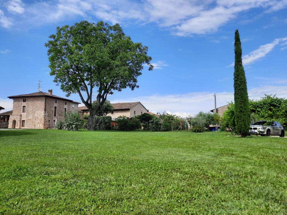 Corte Davini Agriturismo Monzambano Εξωτερικό φωτογραφία