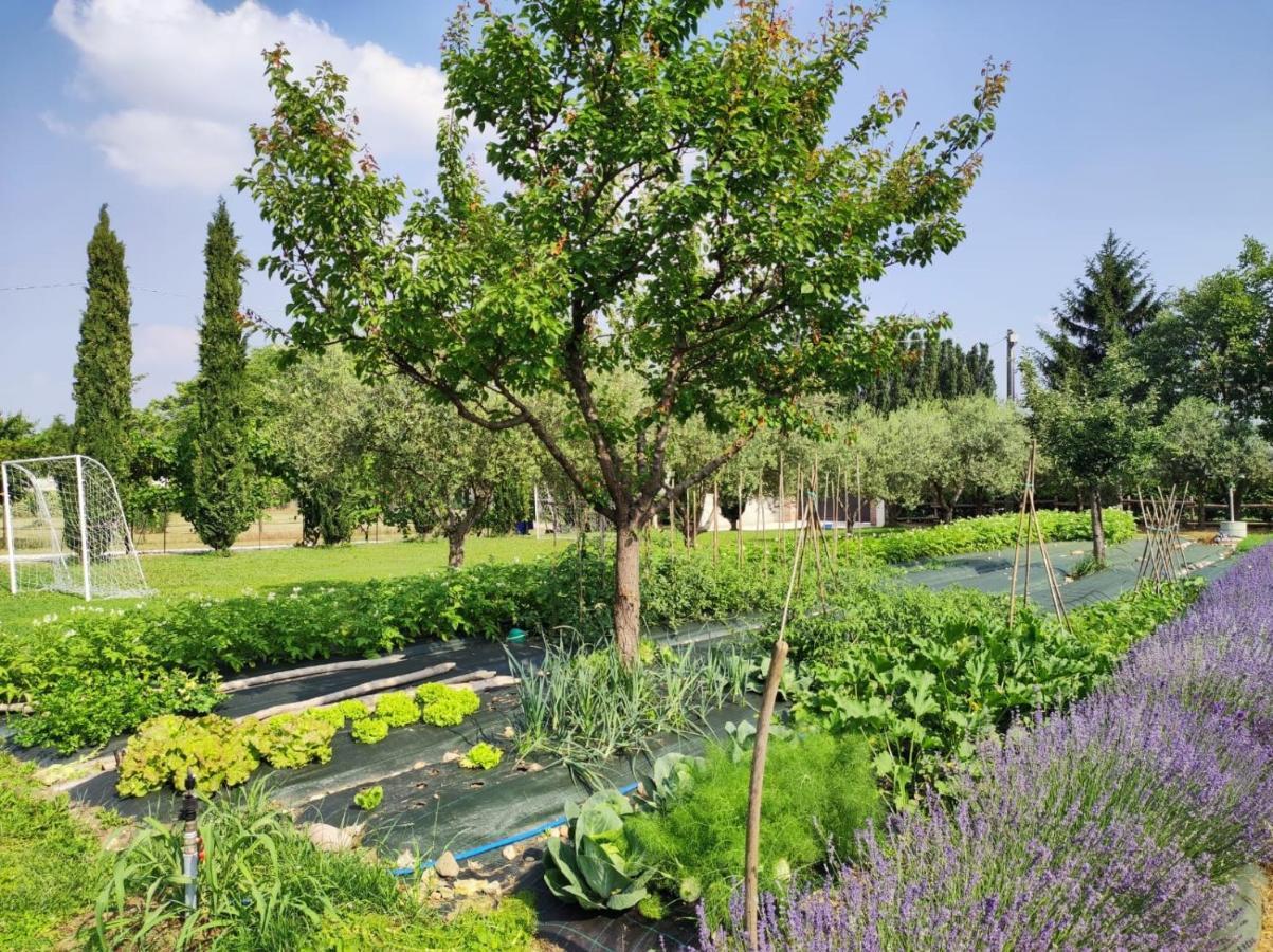 Corte Davini Agriturismo Monzambano Εξωτερικό φωτογραφία
