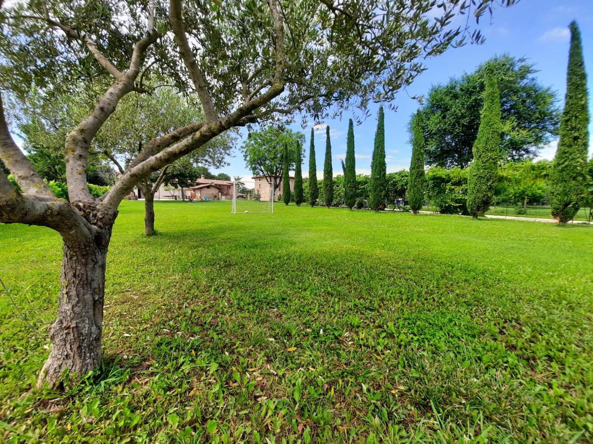 Corte Davini Agriturismo Monzambano Εξωτερικό φωτογραφία