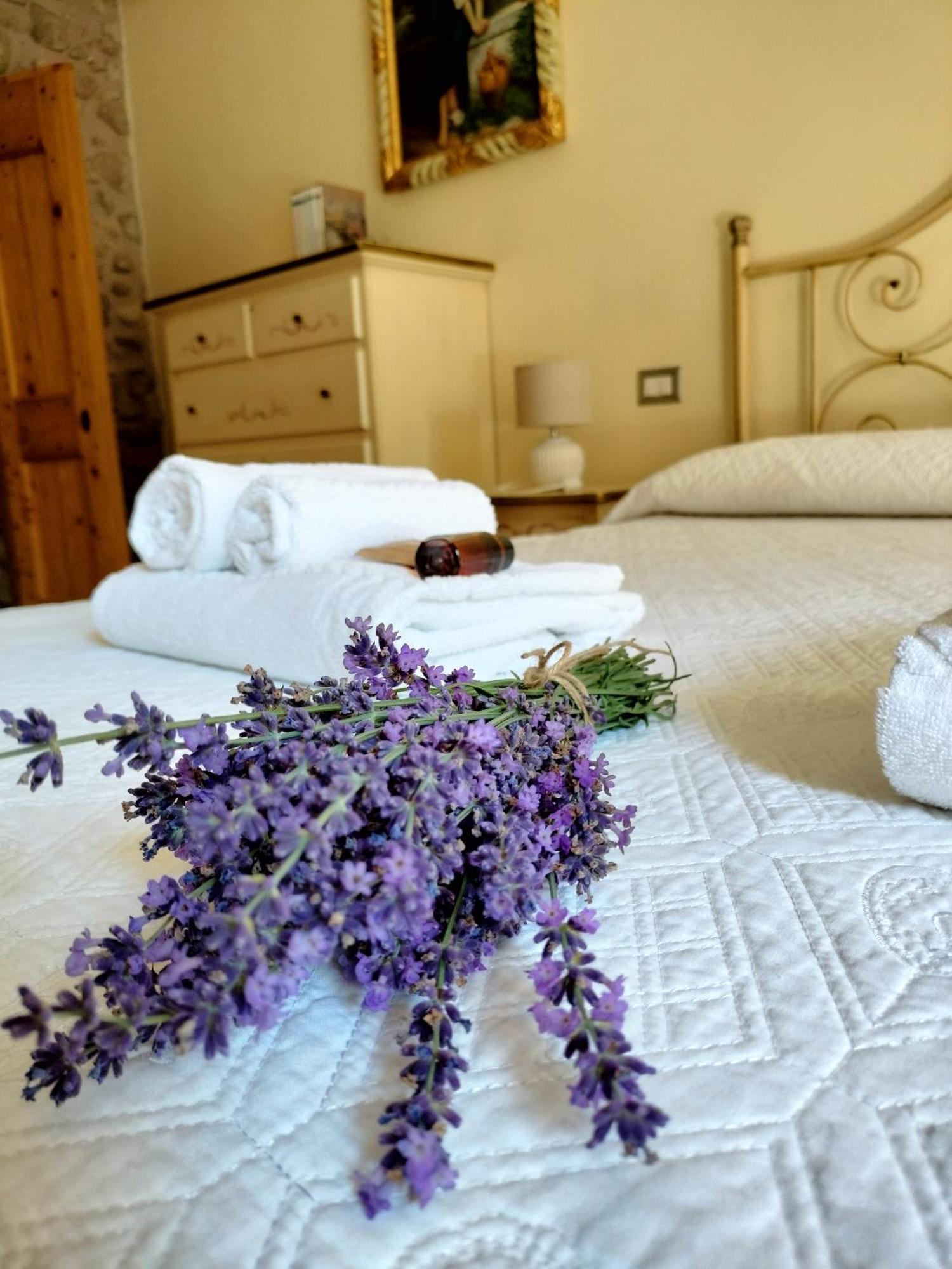 Corte Davini Agriturismo Monzambano Εξωτερικό φωτογραφία