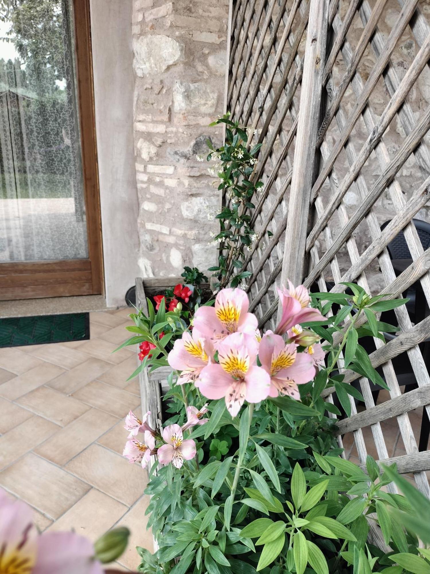Corte Davini Agriturismo Monzambano Εξωτερικό φωτογραφία