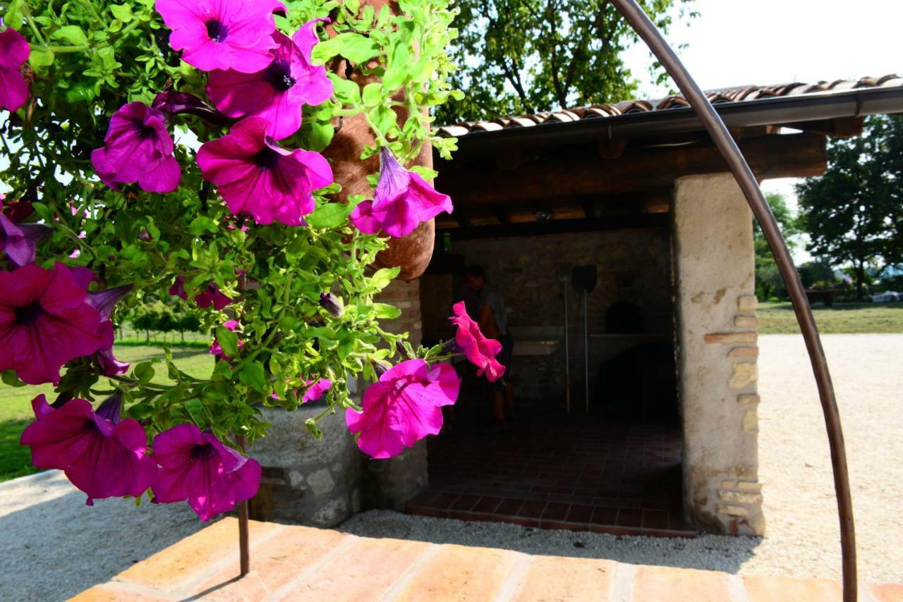 Corte Davini Agriturismo Monzambano Εξωτερικό φωτογραφία